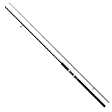 ショアジギング X 100MH ダイワ 22 X SHOREJIGGING X DAIWA（釣り） ダイワ '22 SHOREJIGGING X(ショアジギング X